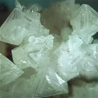 Арсеникум альбум