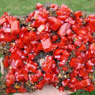 Калий бихромикум